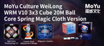 MoYu WRM V10 Spring Core 20-Mag Ball Core
