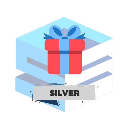 Mystery Box - Silver