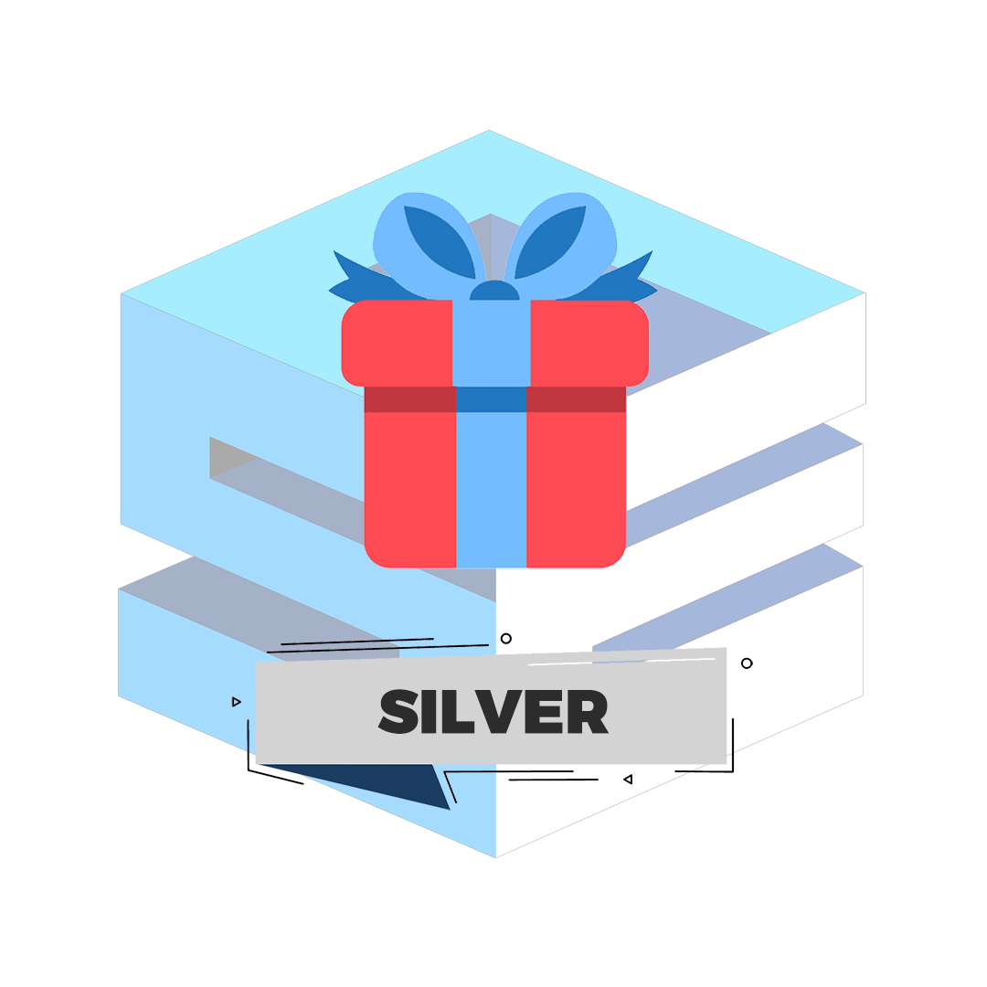 Mystery Box - Silver