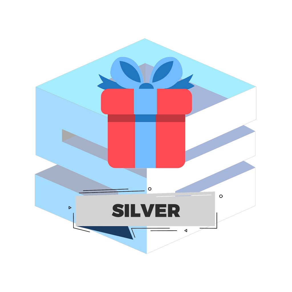Mystery Box - Silver