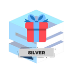 Mystery Box - Silver